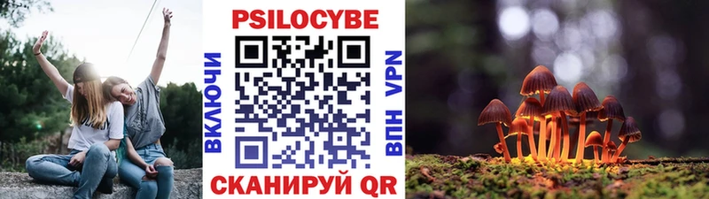 маркетплейс состав  кракен ссылки  Волосово  Галлюциногенные грибы ЛСД 